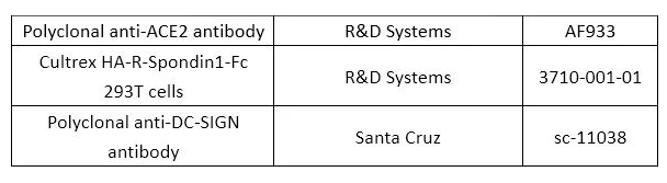 技术资料图片13