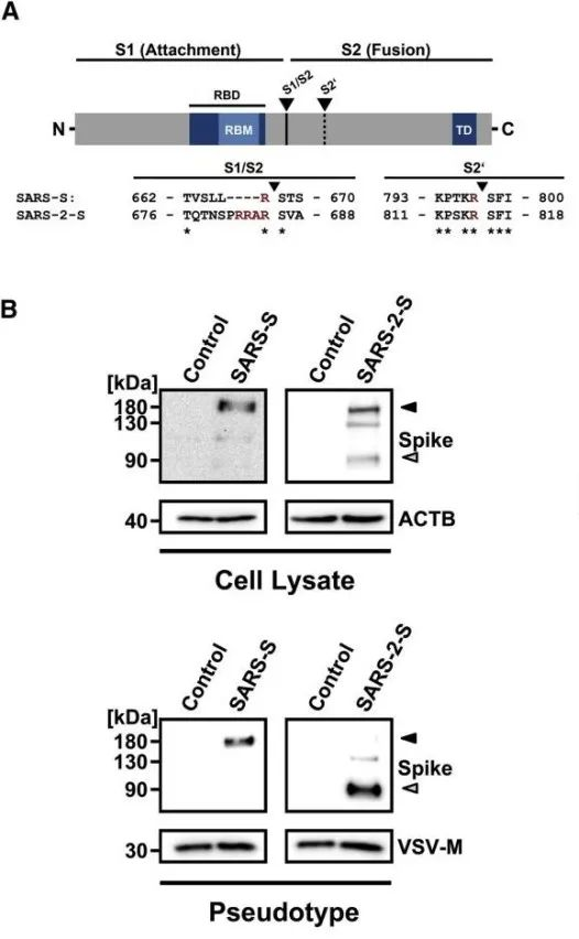 技术资料图片10