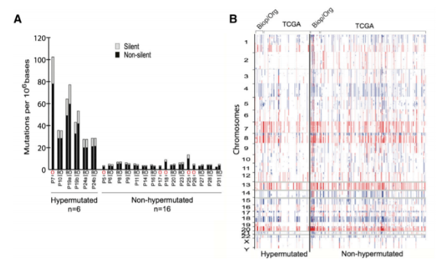 技术资料图片10
