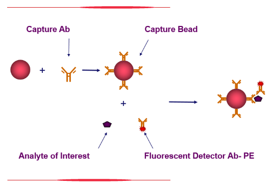 技术资料图片10