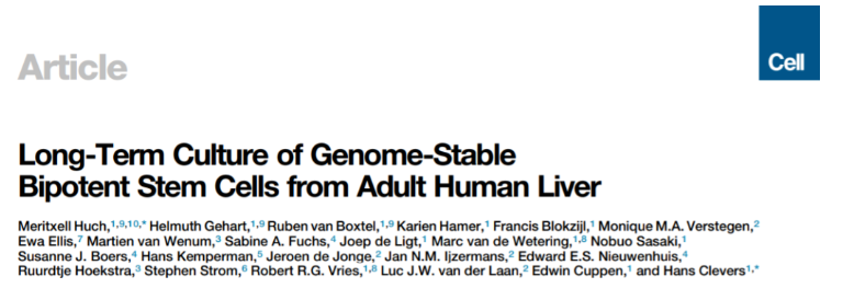 技术资料图片11