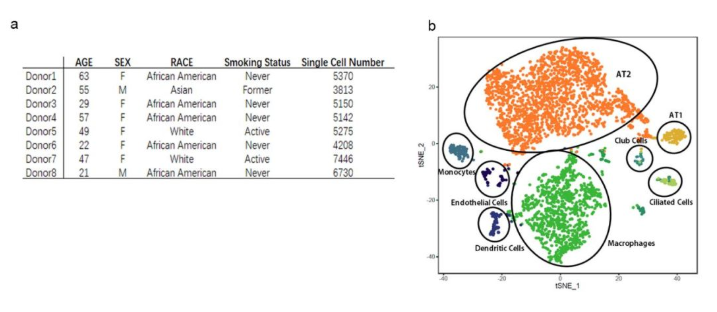 技术资料图片10