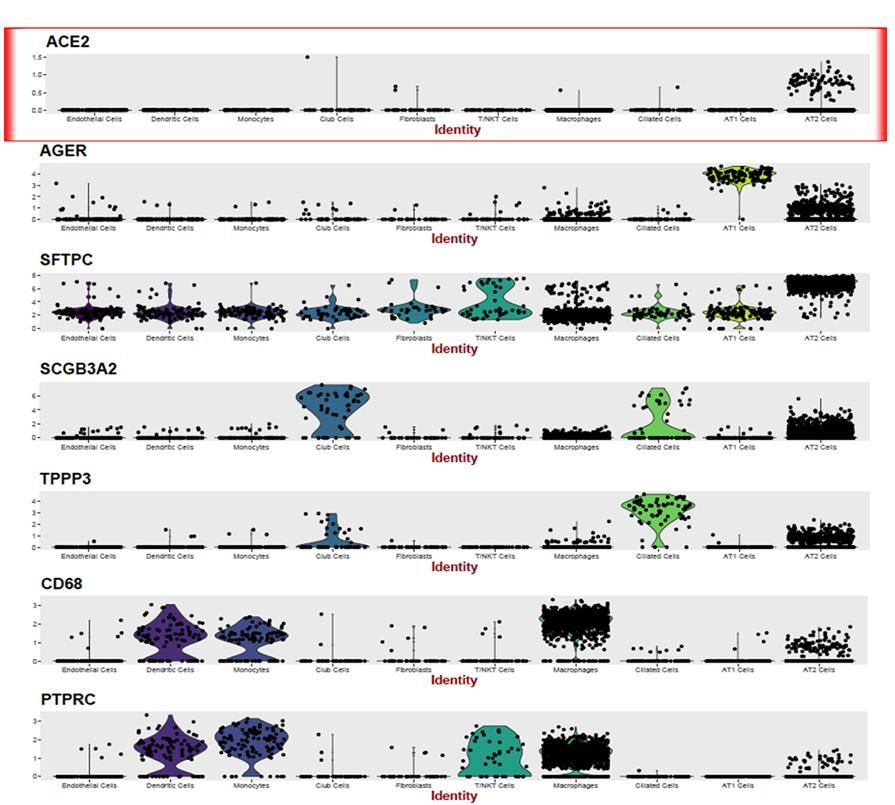 技术资料图片11