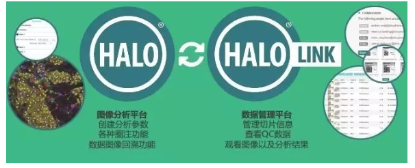 技术资料图片10