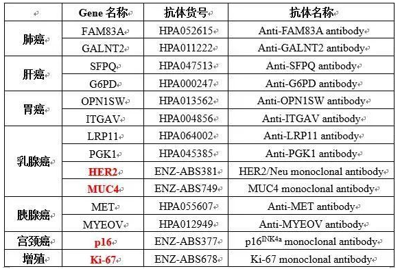 技术资料图片13