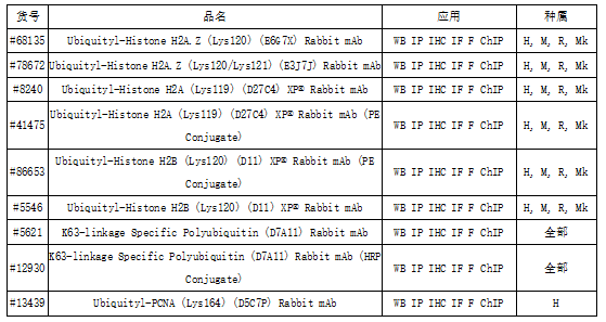 技术资料图片13