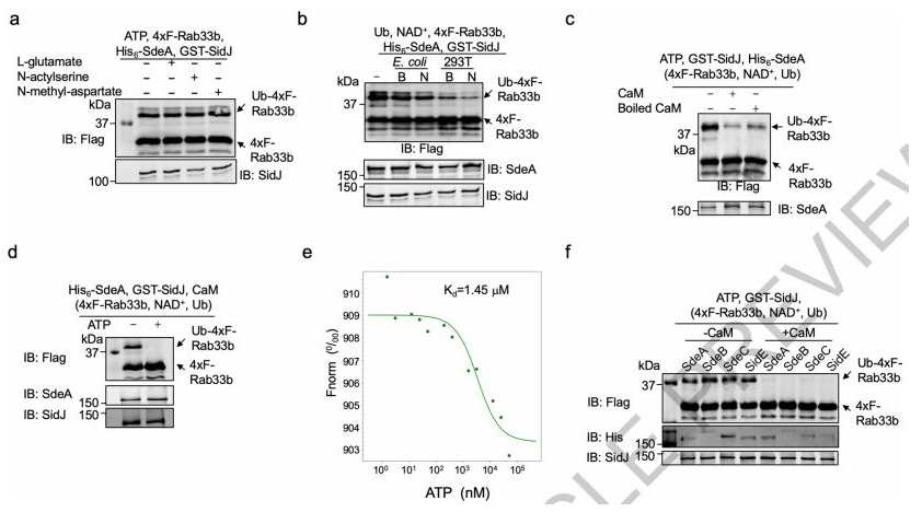 技术资料图片11
