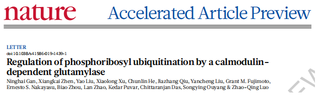 技术资料图片10