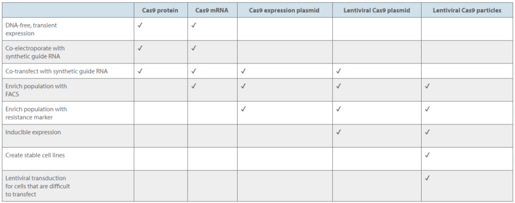 技术资料图片12