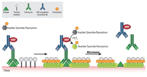 技术资料图片12
