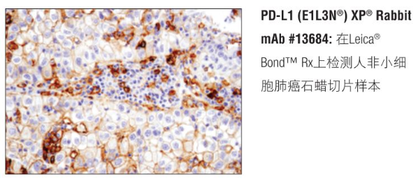 技术资料图片11