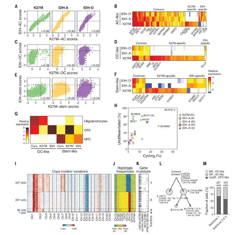技术资料图片13