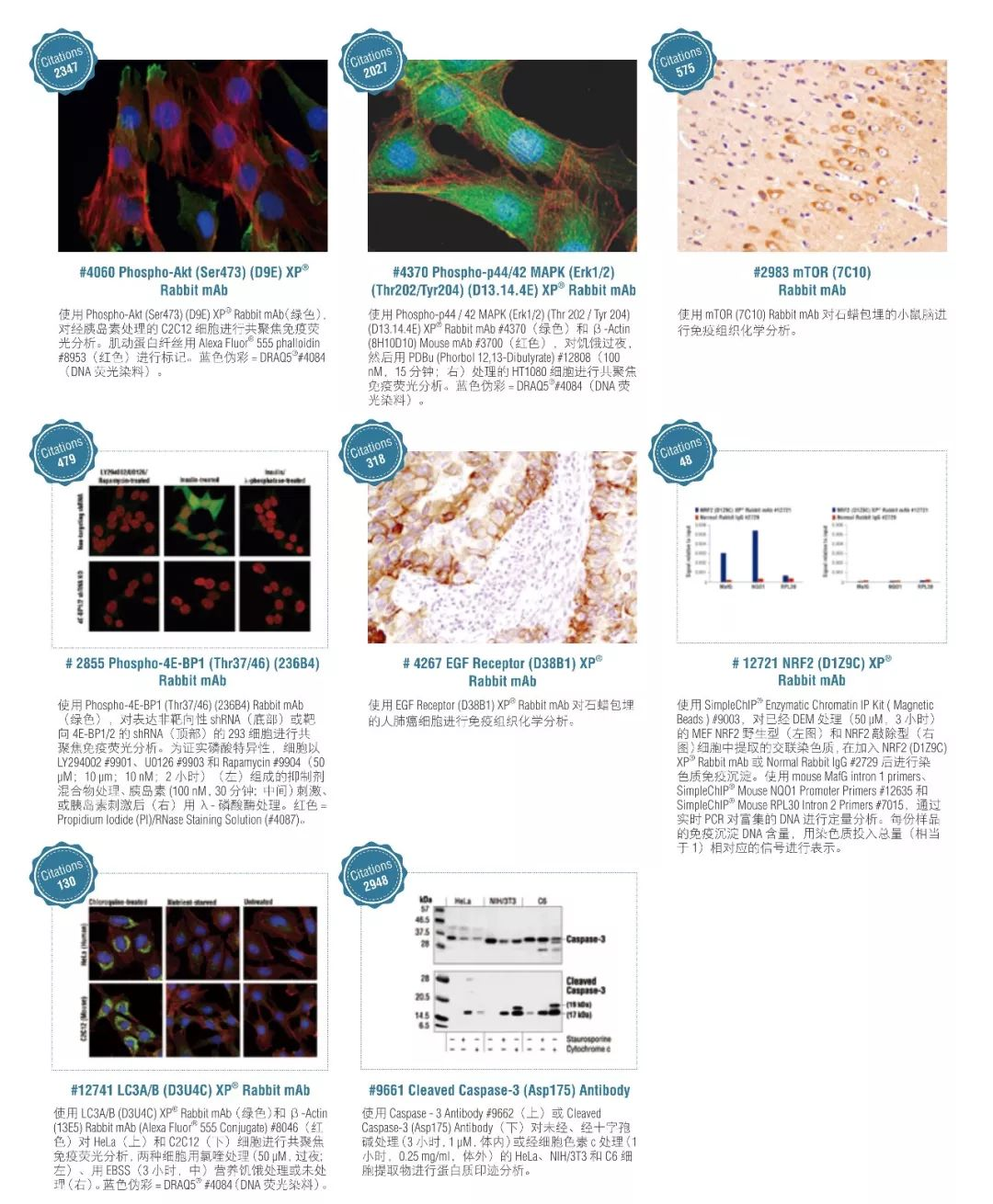 技术资料图片12