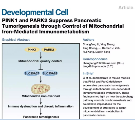 技术资料图片11