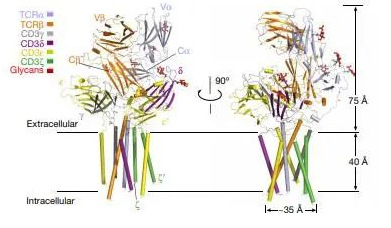 技术资料图片11