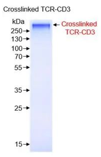 技术资料图片10