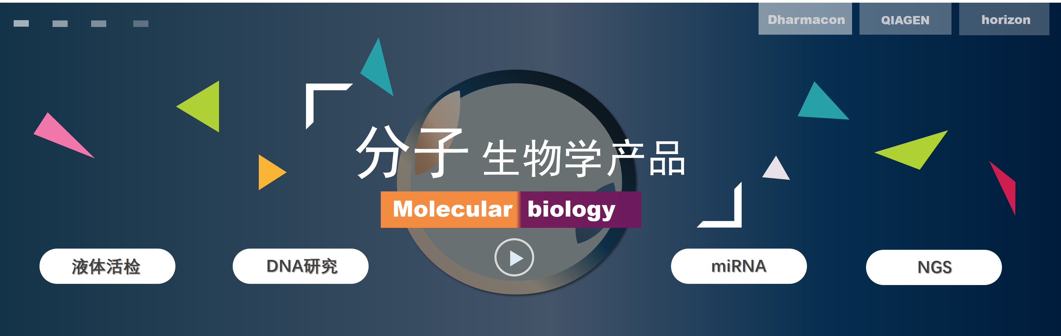 分子生物学首页banner